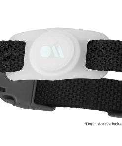 Case-Mate AirTag Case For Dog Collars (Glow In The Dark) - AirTag Case AirTag Cases