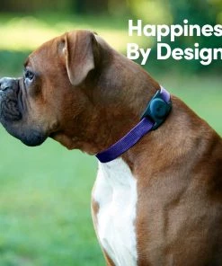 Case-Mate AirTag Case For Dog Collars (Black) - AirTag Case AirTag Cases