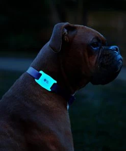 Case-Mate AirTag Case For Dog Collars 2 Pack (Black/Glow-in-the-Dark) - AirTag Case