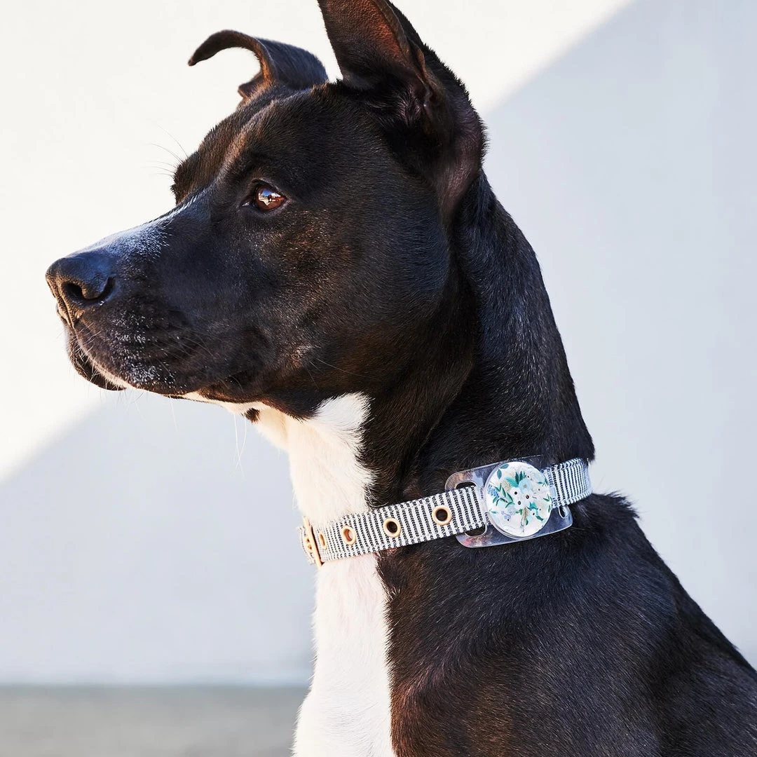 AirTag Cases Rifle Paper Co. AirTag Case For Dog Collars (Garden Party Blue) - AirTag Case 4 AirTag Cases Rifle Paper Co. AirTag Case For Dog Collars (Garden Party Blue) - AirTag Case