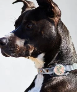 Rifle Paper Co. AirTag Case For Dog Collars (Wild Flowers) - AirTag Case